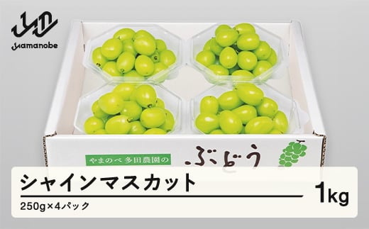 
            《先行予約》2025年 山形県産 シャインマスカット ダイヤパック 250g×4パック やまのべ多田農園のぶどう F21A-313
          