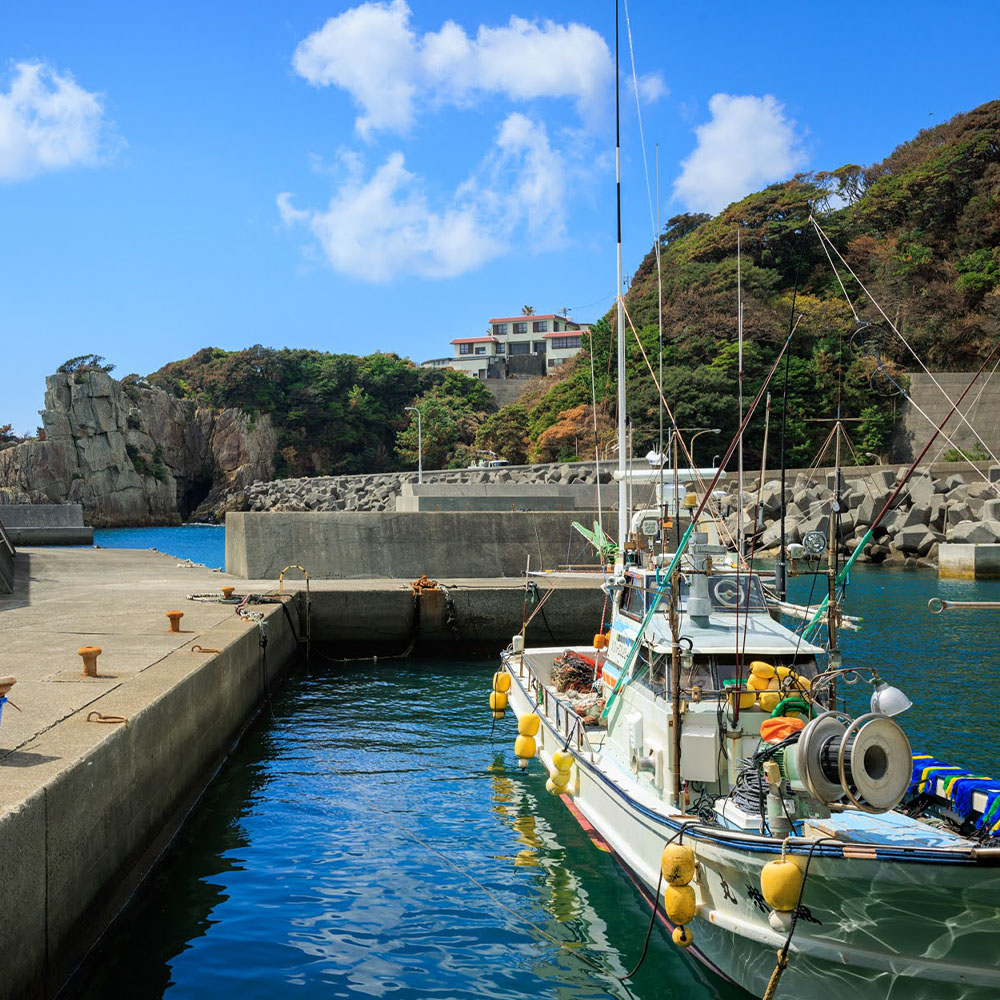 足摺地区 集落歩きツアー 1人分 観光 地元ガイド付き チケット あしずり岬 足摺半島 漁港 伊佐漁港 家族旅行 旅行 国内旅行 自然 神社 文化 徒歩 高知県 高知 土佐清水市 足摺岬【R01502