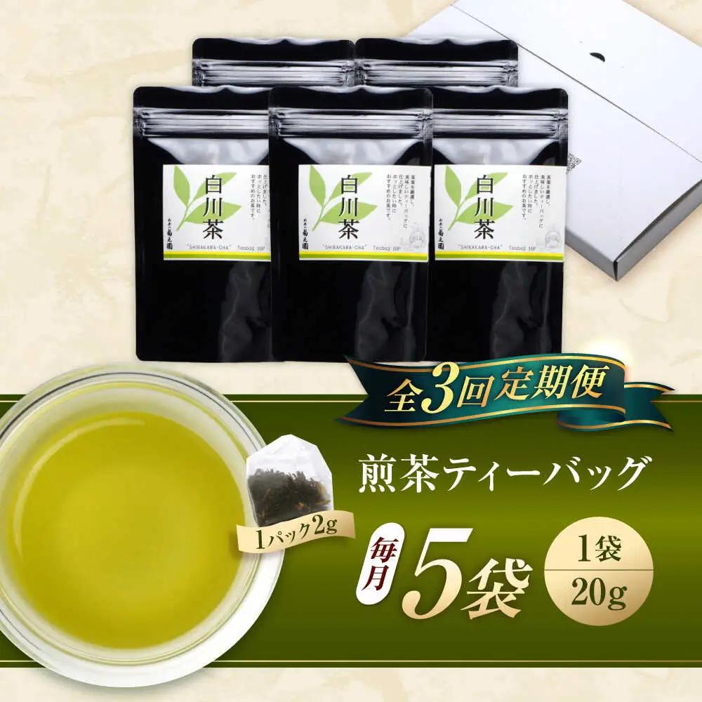 【3回定期便】煎茶 ティーバッグ 5袋 / 菊之園[AWAG005]煎茶
