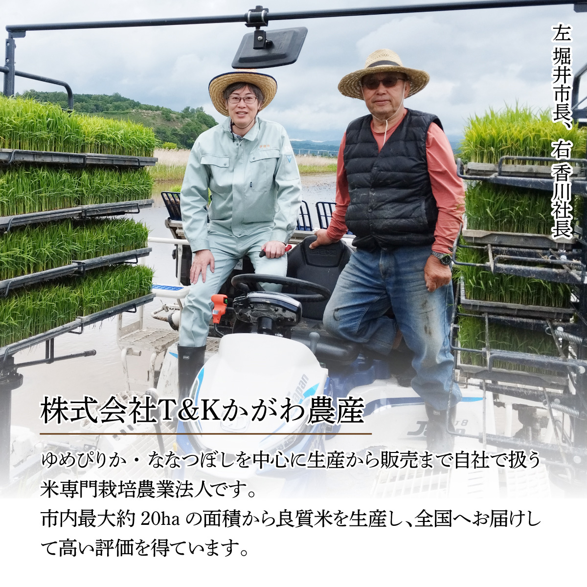 令和7年産 北海道伊達市産 ななつぼし 玄米 5kg【tkk-019】【2025年10月1日発送開始】_イメージ5