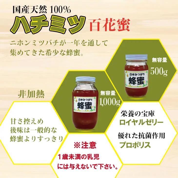 はちみつ 日本蜜蜂 百花蜜 500g はちみつ 国産 B120-080