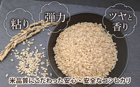 【先行予約】永平寺町飯島産　コシヒカリ  【玄米】５kg【2025年10月中旬以降順次発送開始予定】/ふるさと納税 米 5kg 福井県 永平寺町 の おいしい お米 発祥の地 こめ おこめ 白米 精米