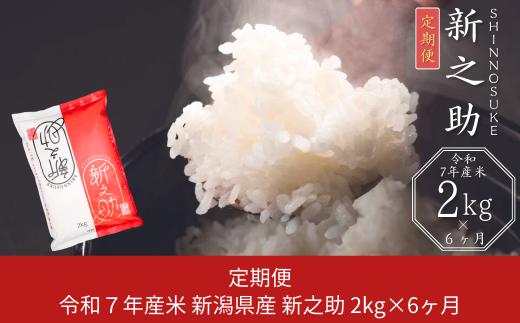 先行予約 [定期便 2kg×6か月] 新潟県産 新之助 計12kg 6か月連続でお届け 令和8年産 [JAえちご中越] 【025S013】