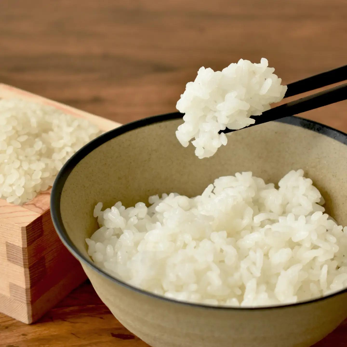 【3回定期便】《 新米先行予約 》2026年10月発送開始 長老米 10kg×3カ月連続 総量30kg 令和8年産 新米 京都 京丹波町産 米 コシヒカリ  [060YS003R]
