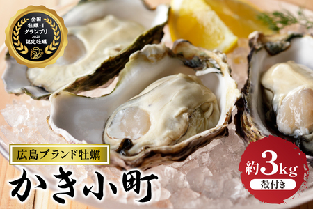 【先行受付】【2025年12月より発送】丸十水産 広島ブランド牡蠣 殻付き かき小町 約3kg (15～21個) ku003-007-25