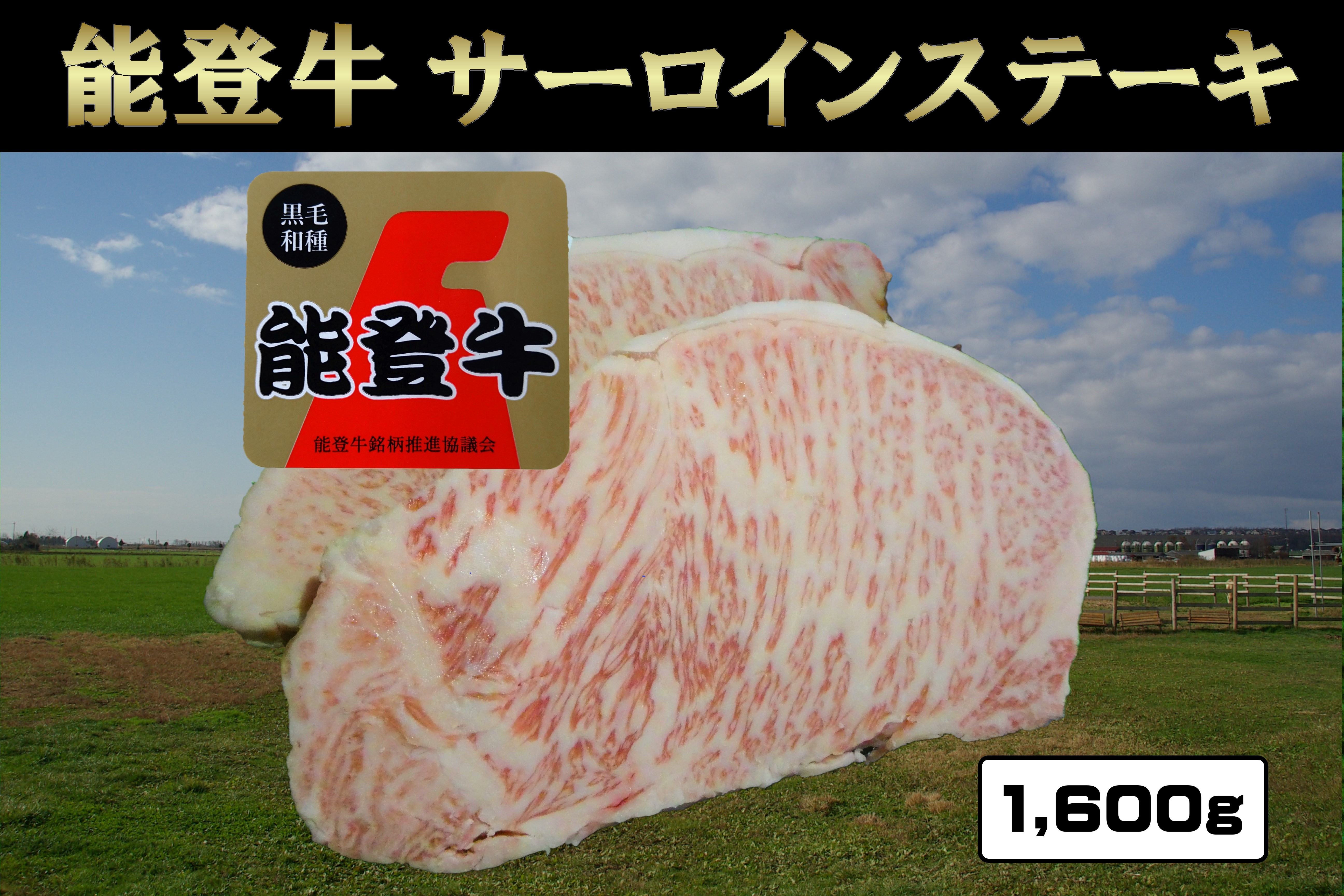 
            能登牛サーロインステーキ(約200g×4枚入)×2パック　牛脂付き【1600797】
          