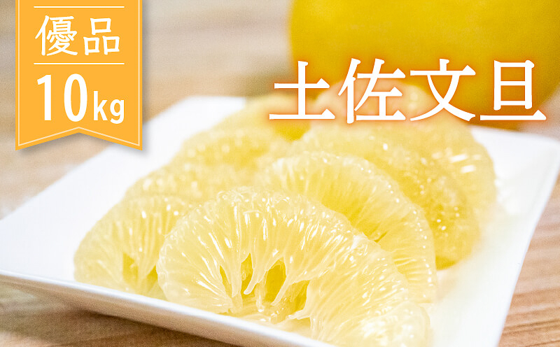 土佐文旦 優品 10kg　先行予約 2027年２月から順次発送 高知県産 柑橘 フルーツ 文旦 ぶんたん ブンタン 分担 果物 みかん 蜜柑 文旦 産地直送 高知県 須崎 須崎市 先行受付 早期受付 KG005