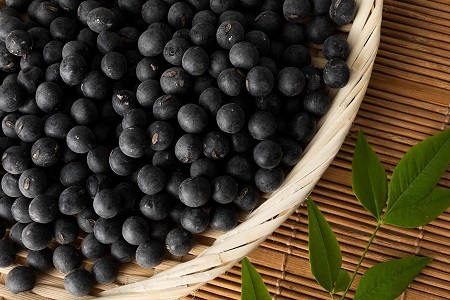 丹波黒大豆 2Lサイズ 900g （300g×3袋） 黒大豆 黒豆 