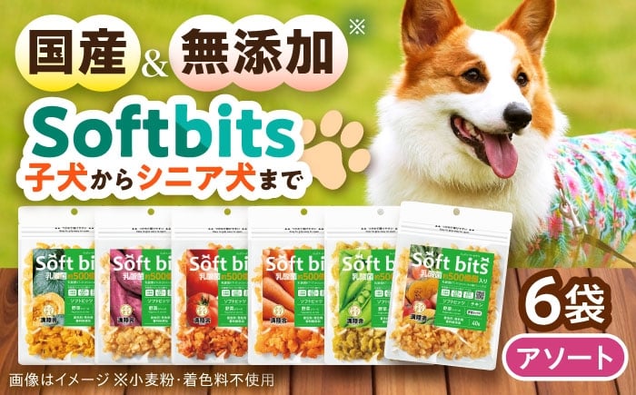 
            Softbits ドッグフード アソート野菜 （40g×6P）/ ドッグフード 犬 いぬ ドッグ おやつ ペットフード / 大村市 / サポート [ACAM005]
          