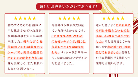 【生産者支援】 《令和7年産 先行予約》茨城県 桜川市産 こしひかり15kg（5kg×3袋） 茨城県産 桜川 米 お米 白米 コメ ごはん 精米 コシヒカリ 国産 限定 銘柄米 [SC011sa]