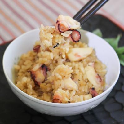 ふるさと納税 さぬき市 真ダコ(ぶつ切り) 200g×2 (400g)炊き込みご飯のタレ2袋付 |  | 02