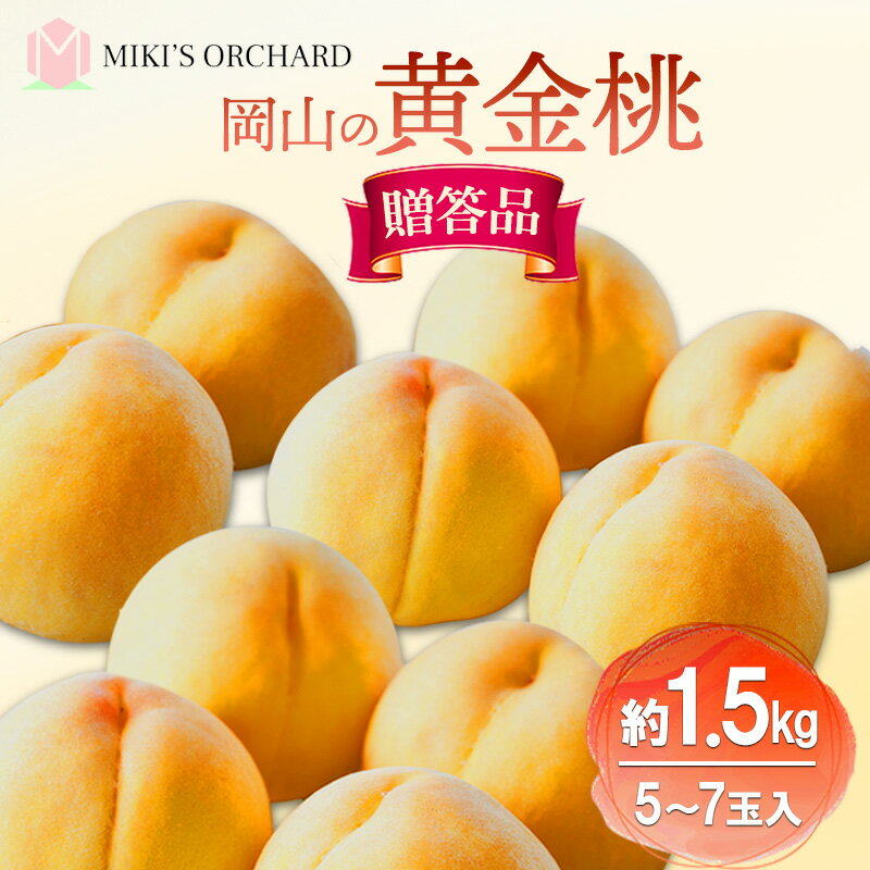 【ふるさと納税】桃 【 贈答品 】 2026年 先行予約 黄金桃 約1.5kg(5～7玉入り) MIKI’S ORCHARD もも モモ 果物 フルーツ 岡山 赤磐市　お届け：2026年8月下旬～2026年9月下旬