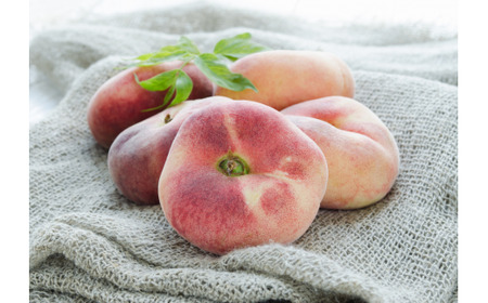 【きよとうファーム】幻の桃、蟠桃のリキュール「ほろ酔い紀元」(岡山県産) / お酒 ほろ酔い アルコール フルーツ 桃 リキュール 蟠桃【KF-S001-02】