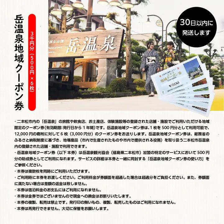 岳温泉地域クーポン券 温泉 岳温泉 旅行【一般社団法人岳温泉観光協会】