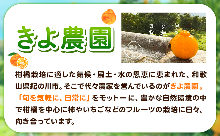 露地栽培の甘い 不知火 (デコ) 6玉 約1.5kg きよ農園《2025年2月中旬-3月末頃出荷(土日祝除く)》和歌山県 日高町 柑橘 不知火 しらぬい デコポン と同品種 フルーツ 果物 スイーツく