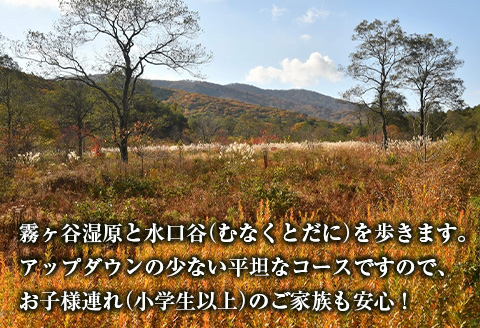 トレッキング 体験 専属ガイド 国定公園 『八幡湿原』 体験プラン
