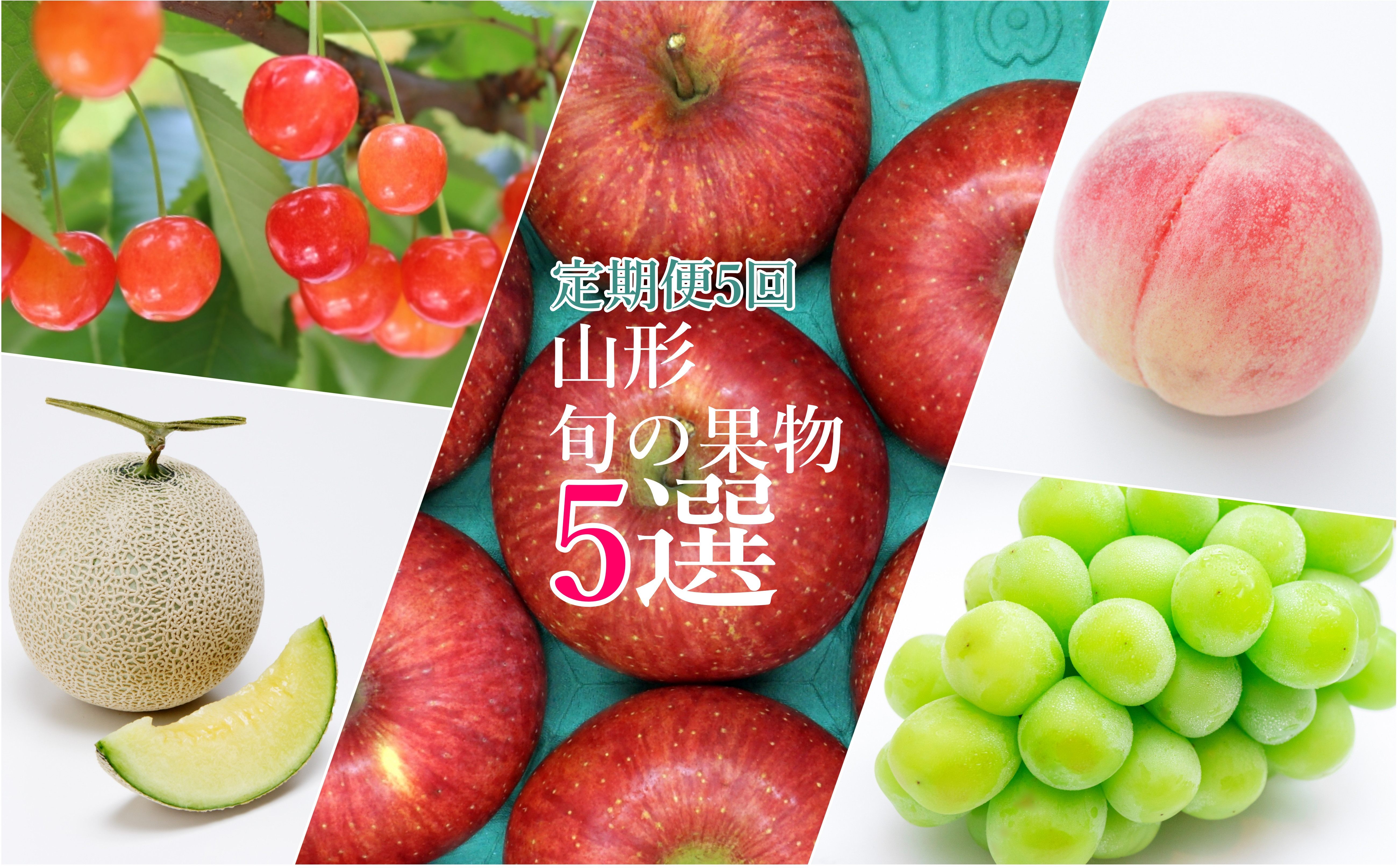 
            【2026年発送】【定期便5回】山形旬の果物5選（佐藤錦/メロン/桃/シャインマスカット/りんご）_H243(R8)
          