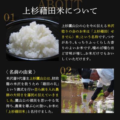 ふるさと納税 米沢市 【先行予約】12ヶ月定期便 令和8年産 つや姫 5kg × 12回 計 60kg 特別栽培米 |  | 01