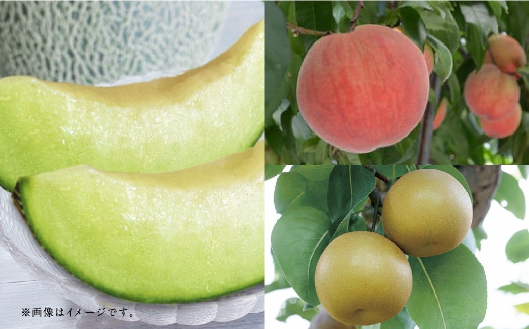 
            【フルーツ3回定期便】 アンデスメロン 5kg ＋ 桃 1kg ＋ 梨 5kg 【2026年5月中旬～10月上旬迄順次発送予定】 メロン もも モモ なし ナシ 和梨 果物 果実 フルーツ 定期便 九州 熊本県 あさぎり町 常温
          