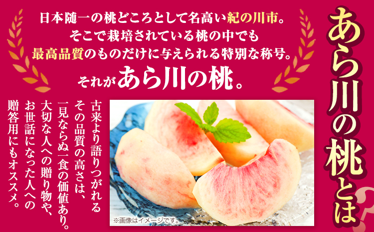 桃 もも あら川の桃 和歌山県産 紀州 の名産 旬の桃厳選 約2kg 6-8玉入り 《2024年6月中旬-8月中旬頃出荷》 果物 フルーツ 和歌山 あかつき 紀の川 あらかわ 白鳳 日川白鳳 八旗白鳳