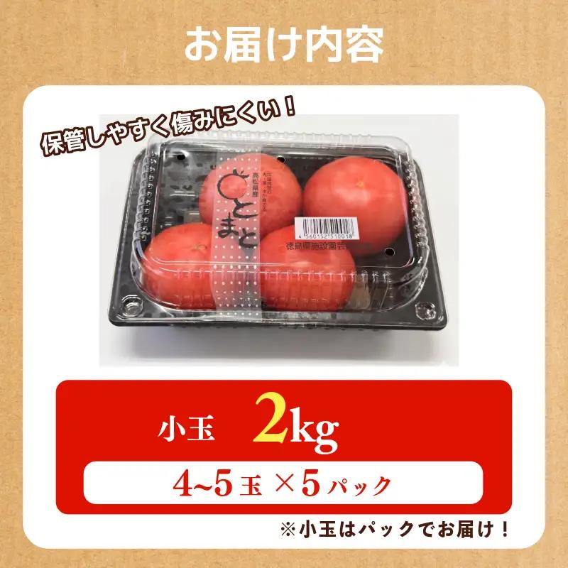 トマト 4パック 2kg 小玉トマト 小分け