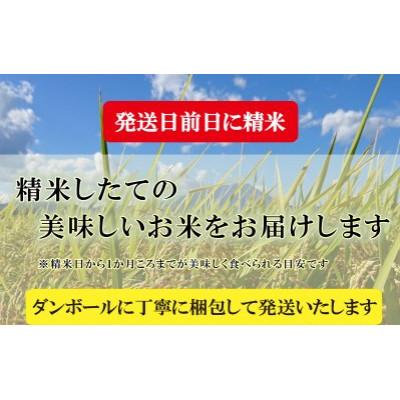ふるさと納税 盛岡市 【令和6年産】【つきあかり】お米マイスター推奨【5kg】 |  | 03