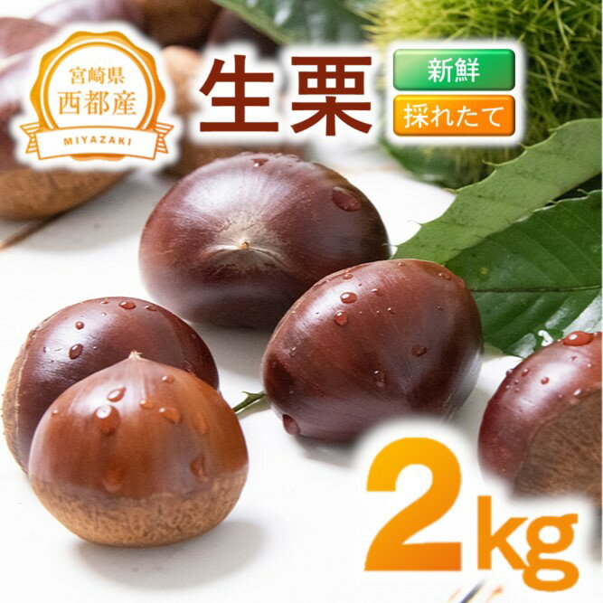 【ふるさと納税】新鮮「生栗」2kg 国産 宮崎県 西都市 くり＜1-283＞