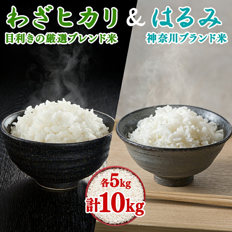 【ふるさと納税】《10月下旬より順次発送》令和8年産 目利きの厳選ブレンド米とはるみの食べ比べセット 各5kg (合計10kg) 五つ星お米マイスター親子プロデュース！｜米 お米 ブレンド米 白米 ご飯 精米 定期便 厳選 お米マイスター [1283]