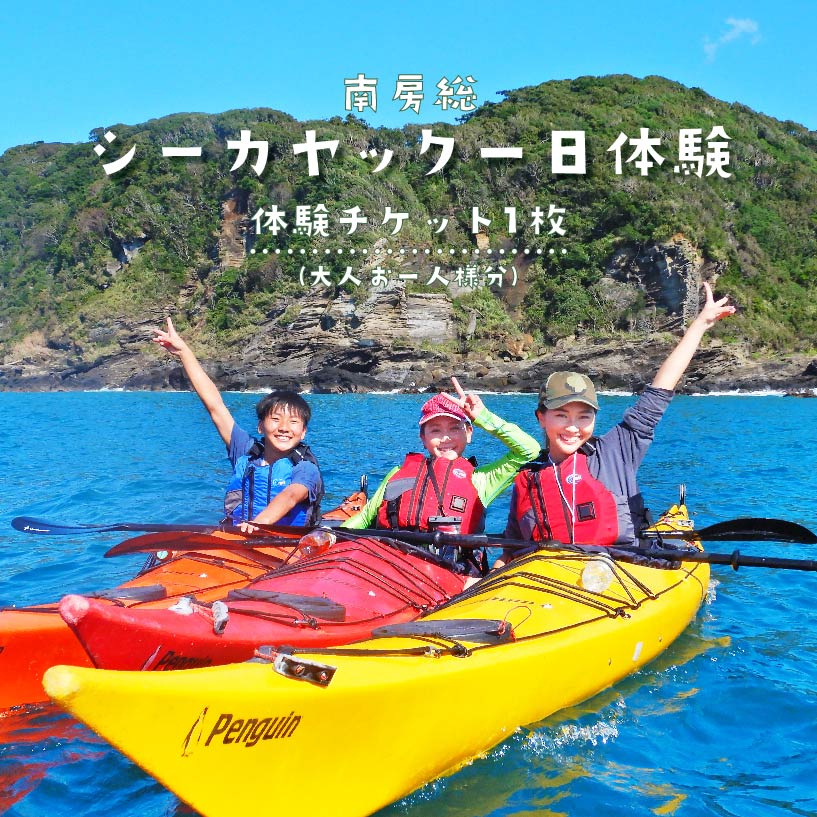 【ふるさと納税】 南房総シーカヤック1日体験（大人お一人様分） 千葉県 南房総市 アウトドア レジャー ビーチ スポーツ マリンスポーツ 海 自然 カヤック 送料無料