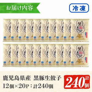 ＜焼くだけ＞鹿児島黒豚生餃子 合計240個！（12個×20P） 国産 鹿児島県産 黒豚 餃子 ぎょうざ ギョーザ ギョウザ 冷凍餃子 冷凍 冷凍食品 惣菜 弁当 おかず 小分け 詰め合わせ 【A-18