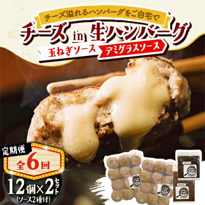 【ふるさと納税】【毎月定期便】チーズハンバーグ(生)12個×2　玉ねぎソース150g、デミグラスソース250g全6回【配送不可地域：離島】【4080194】