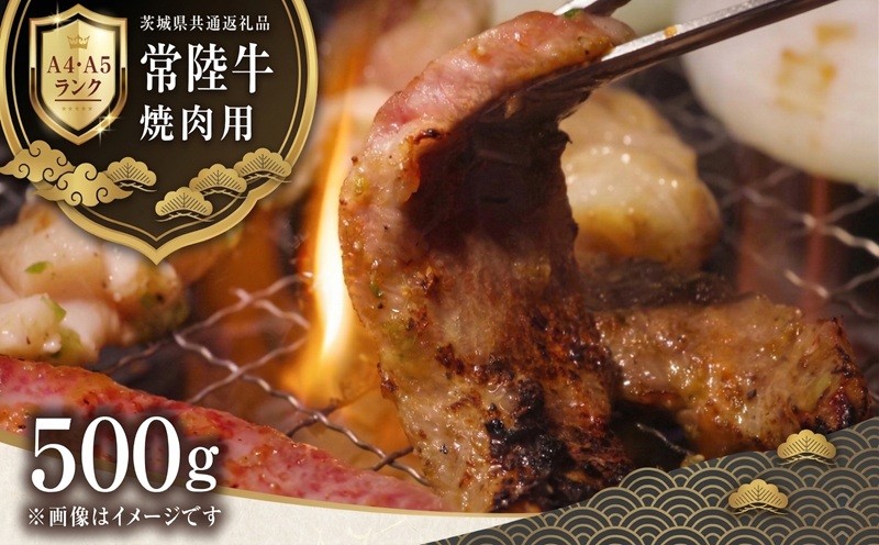 
                  【 常陸牛 】 焼肉用 500g 黒毛和牛 化粧箱入り A4 A5 ブランド牛 国産 牛肉 肉 お肉 ブランド牛 和牛 ギフト 贈答 
                