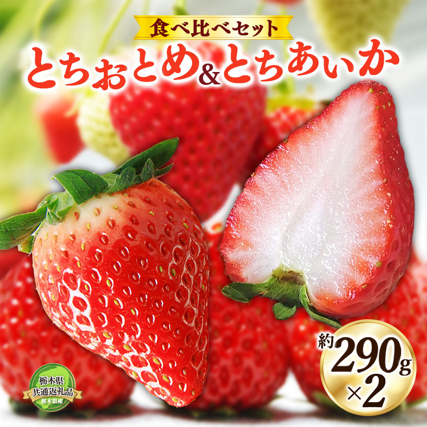 【2025年冬先行予約】日本一のいちご生産量を誇るJAはが野が厳選 とちおとめ、とちあいか食べ比べ平パック2P | 送料無料 栃木県 下野市  先行予約 いちご フルーツ 甘い ジューシー かき氷