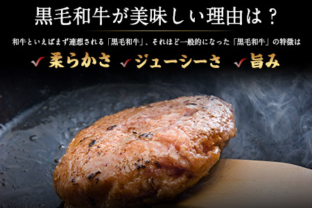 黒毛和牛ハンバーグ 150g×5個 《60日以内に出荷予定(土日祝除く)》 ブランド牛 黒毛和種 有限会社トップルーフ