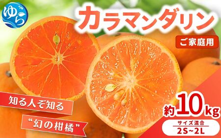 【来シーズン 先行予約】≪家庭用≫カラマンダリン 約10kg ※2026年3月下旬～順次発送 農家直送 / みかん みかん 和歌山 柑橘 晩柑【nktn030】