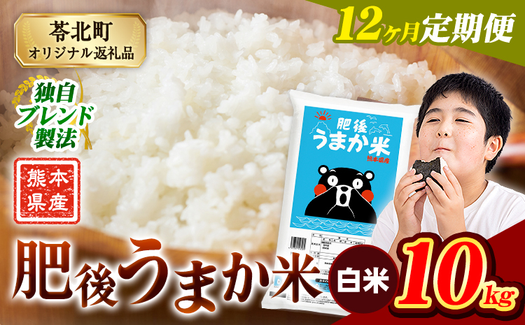 【12ヶ月定期便】米 熊本県産 肥後うまか米 10kg 熊本県産 ふるさと納税 白米 精米 こめ ふるさとのうぜい コメ お米 おこめ ブレンド米《お申込み翌月から出荷》---reihoku_loc_487_mo12---