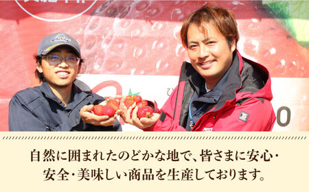 築上町産 あまおう （月） 1箱 15粒【1月中旬以降順次発送】【エースいちご株式会社】 大粒 あまおう 苺 いちご プレゼント ギフト 贈答 [ABAG004] 