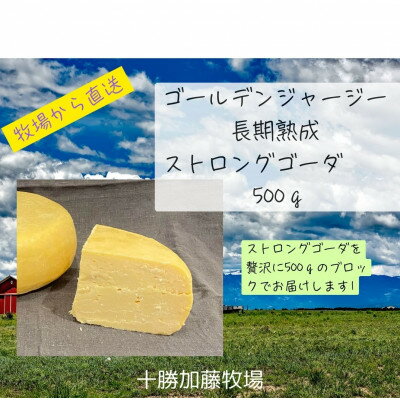 【ふるさと納税】ゴールデンジャージー　長期熟成ストロングゴーダ　500g【配送不可地域：離島】【1601122】