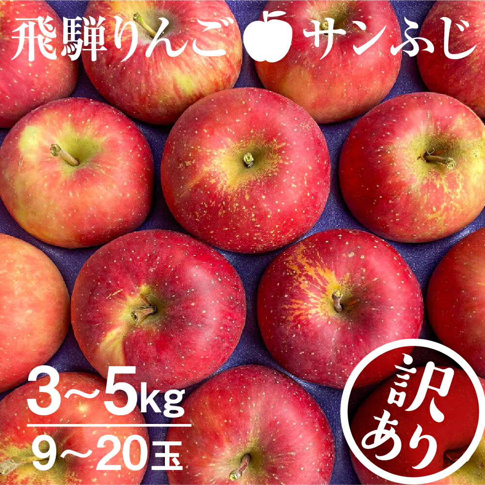 【ふるさと納税】《2025年先行予約》りんご【2025年11月下旬〜1月上旬発送】りんご サンふじ 3kg 約5kg 15〜20玉 飛騨りんご 林檎 黒内果樹園 果物 国産 飛騨産 ご家庭用 家庭用 無袋栽培 訳あり 訳アリ わけあり ワケアリ 不揃い 家庭用 [Q843]10000円 1万円