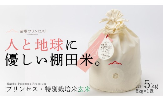 【令和8年産先行予約】特別栽培米 魚沼産コシヒカリ 玄米 5kg コットン袋入り| 苗場プリンセス米 おすすめ 人気ギフト 新潟県 津南町