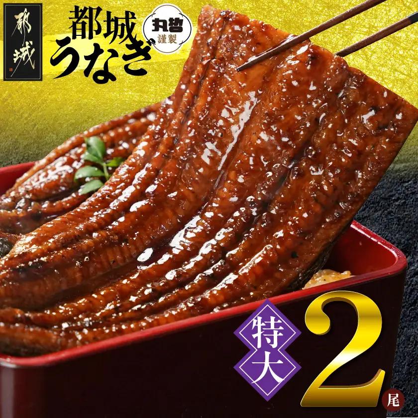 宮崎県育ちの【特大】うなぎ蒲焼2尾440g以上≪山椒・たれ付≫〔17-M3-006-2〕_(都城市)  特大うなぎ蒲焼(有頭) 宮崎県産 真空 山椒・たれ付