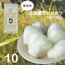 【ふるさと納税】【無洗米】 白糸産コシヒカリ 1合(150g)×10個　お米 白糸コシヒカリ 計量済み 小分け 送料無料 静岡県 富士宮市