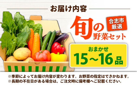 合志の旬のお野菜セット 15〜16品【一般社団法人クラッシーノこうし】[AYAB112]