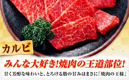 飛騨牛 A5等級 焼肉用 カルビ 500g カルビ カルビ焼肉 カルビ肉 焼肉 焼き肉 やきにく 焼肉セット 焼肉用 最高級 a5 A5 牛 和牛 牛肉 お肉 高級 贈答ギフト 岐阜市 / 肉の松久[