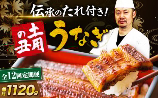 鰻【全12回定期便】うなぎ 蒲焼き 冷蔵 真空パック 8尾（2尾×4箱）ウナギ 絶品 国産 うな丼 鰻丼 うな重 鰻重 かば焼き 蒲焼 高級 丑の日 土用の丑の日 おすすめ 人気 お取り寄せ 送料無料 贈答 冷蔵 真空パック ギフト グルメ 惣菜 簡単調理 時短 湯煎 栄養満点 健康 贅沢 ご褒美 逸品 極上 ふっくら ふわふわ 食感  愛媛県大洲市/有限会社 樽井旅館[AGAH025]
