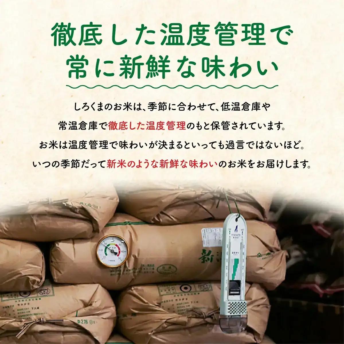 新潟県産 こしいぶき 10kg 令和7年産 精米 白熊