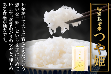 令和5年産 特別栽培米 美郷町産 つや姫 10kg (5kg×2袋)