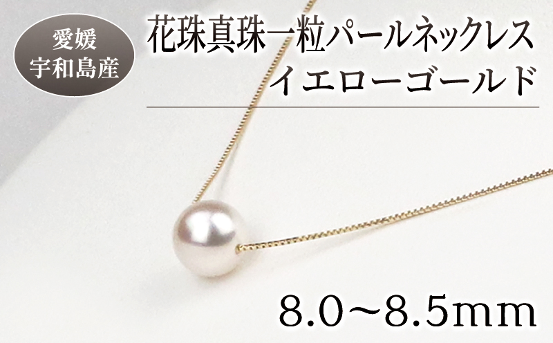 花珠 真珠 一粒 人気 パール ネックレス 8.0-8.5mm イエローゴールド 宇和海真珠 真珠 アクセサリー パールネックレス アコヤ真珠 特産品 国産 愛媛 宇和島 A150-102005