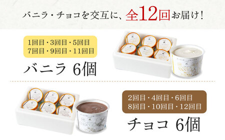 【全12回定期便】バニラとチョコの交互お届け！然オリジナル バニラアイスクリーム・チョコレートアイスクリーム[AOBD054]