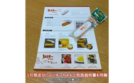1月・4月 全2回 定期便 はっさく マニア 貯蔵 ＆ 木成完熟 傷あり 二級品 4 ～ 6玉 手さげ箱 和歌山 有田 南泰園